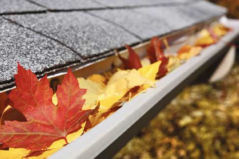 Autumn leaves collected in a gutter waiting to be cleared